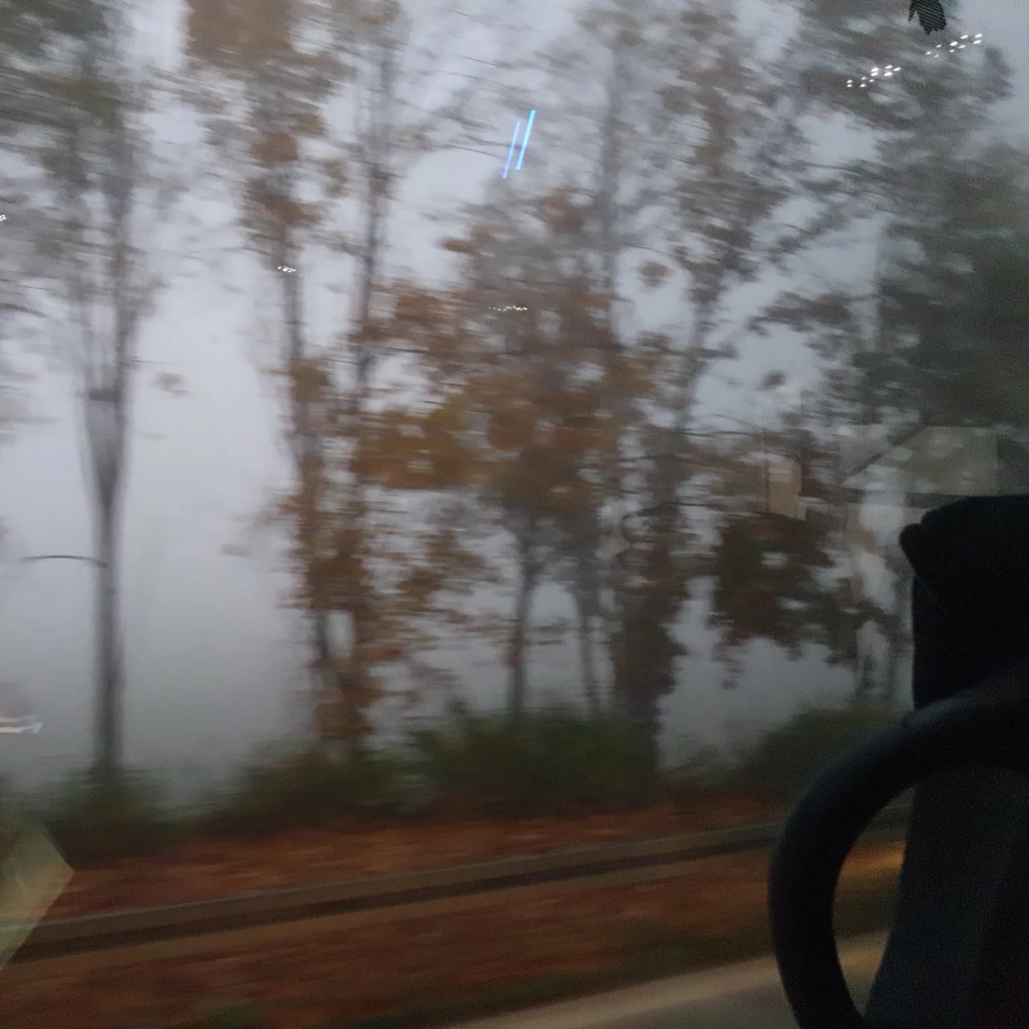 Light travels & views from a bus #cameraroll Source: My Instagram account Mario Breskic