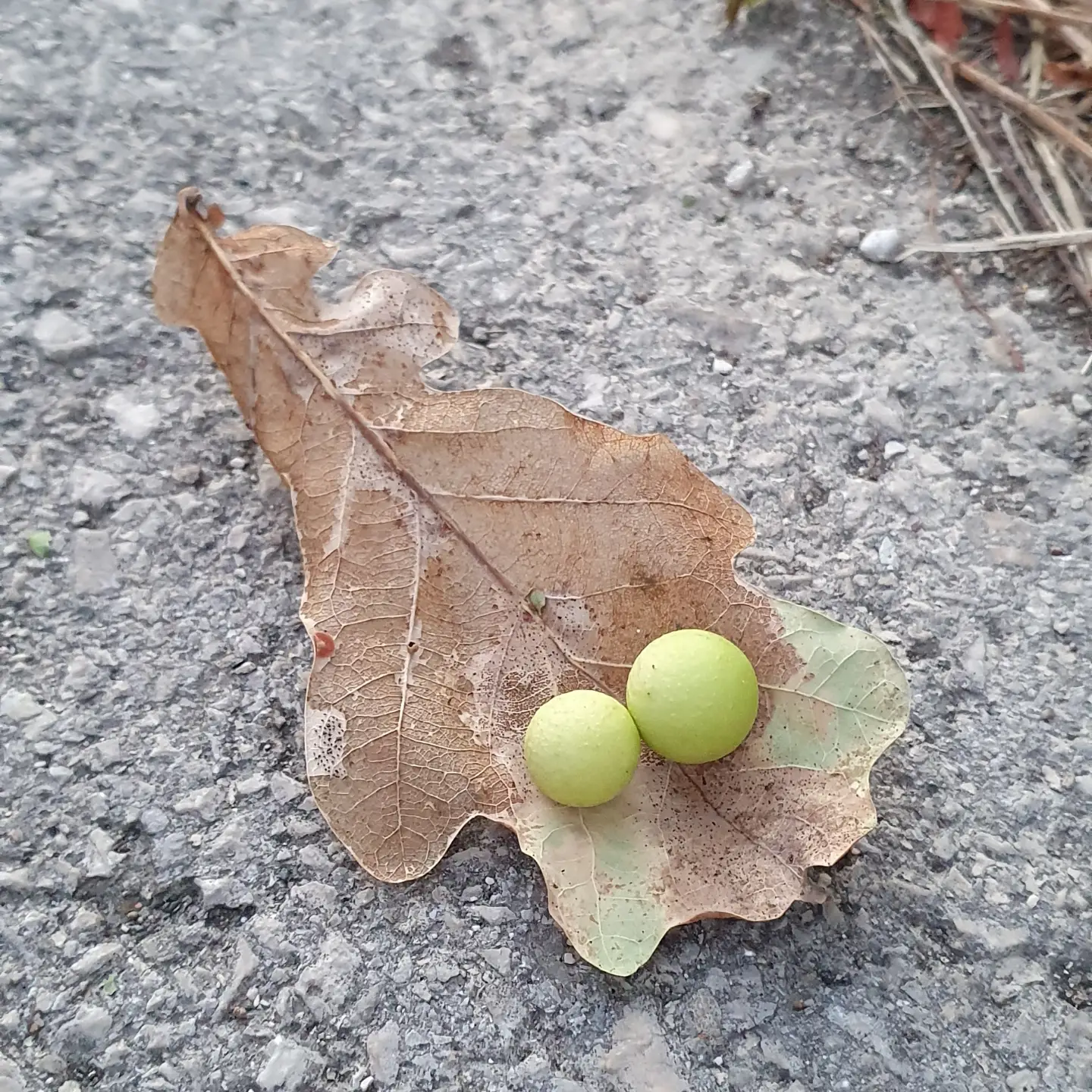 Instagram-Foto vom 20. August 2026